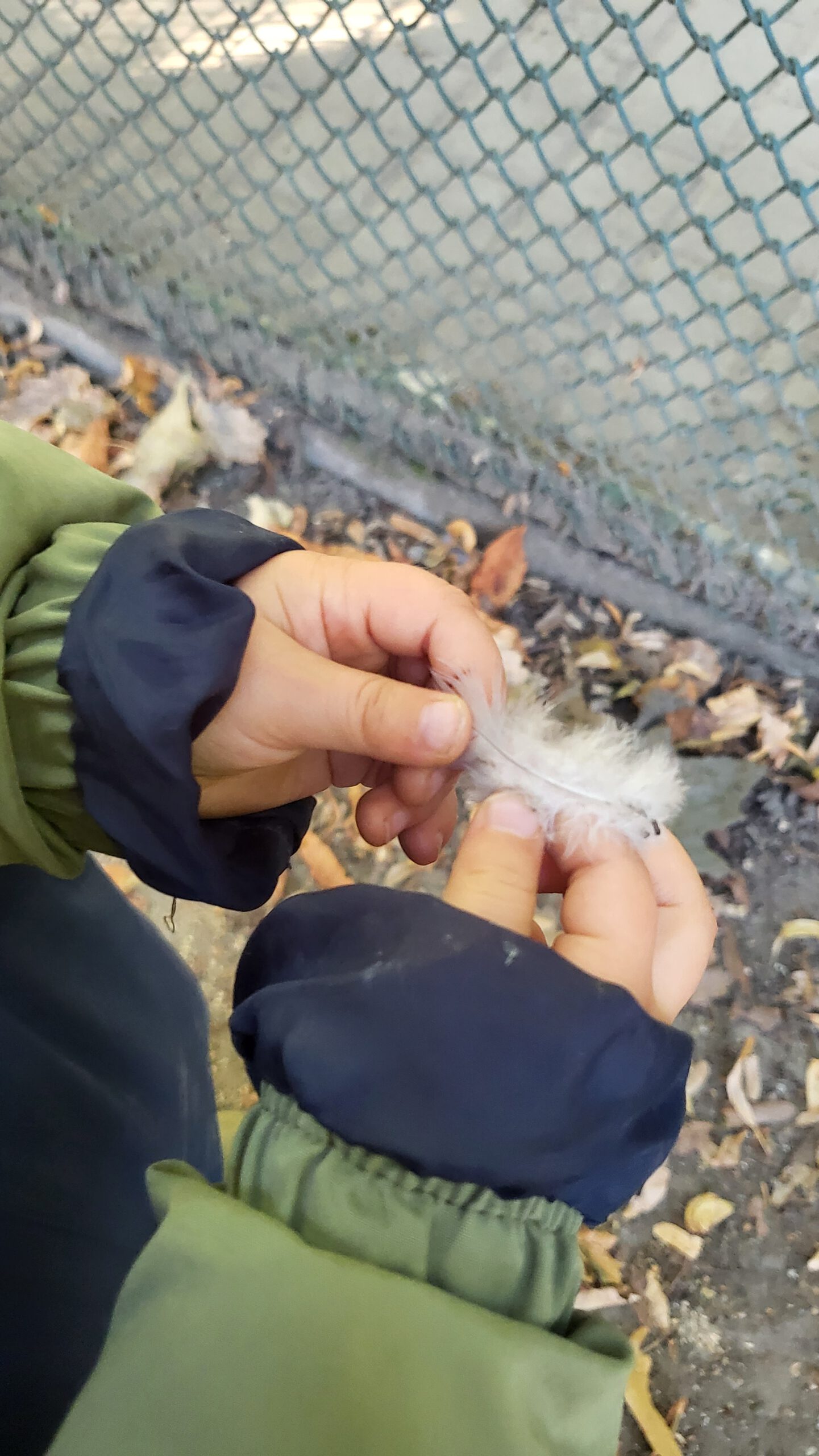 Kind hält Feder in der Hand