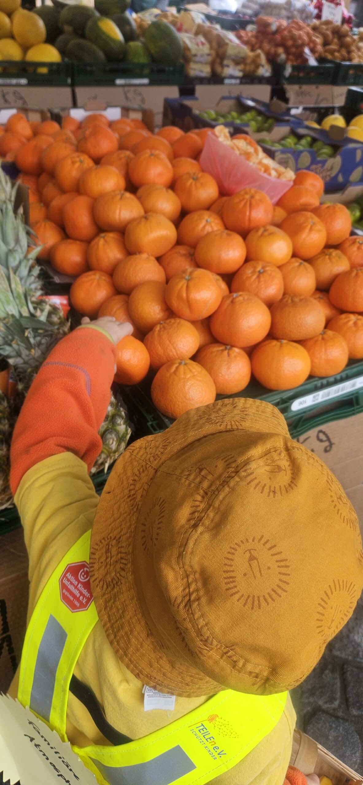 Kind entdeckt Orangen auf dem Markt