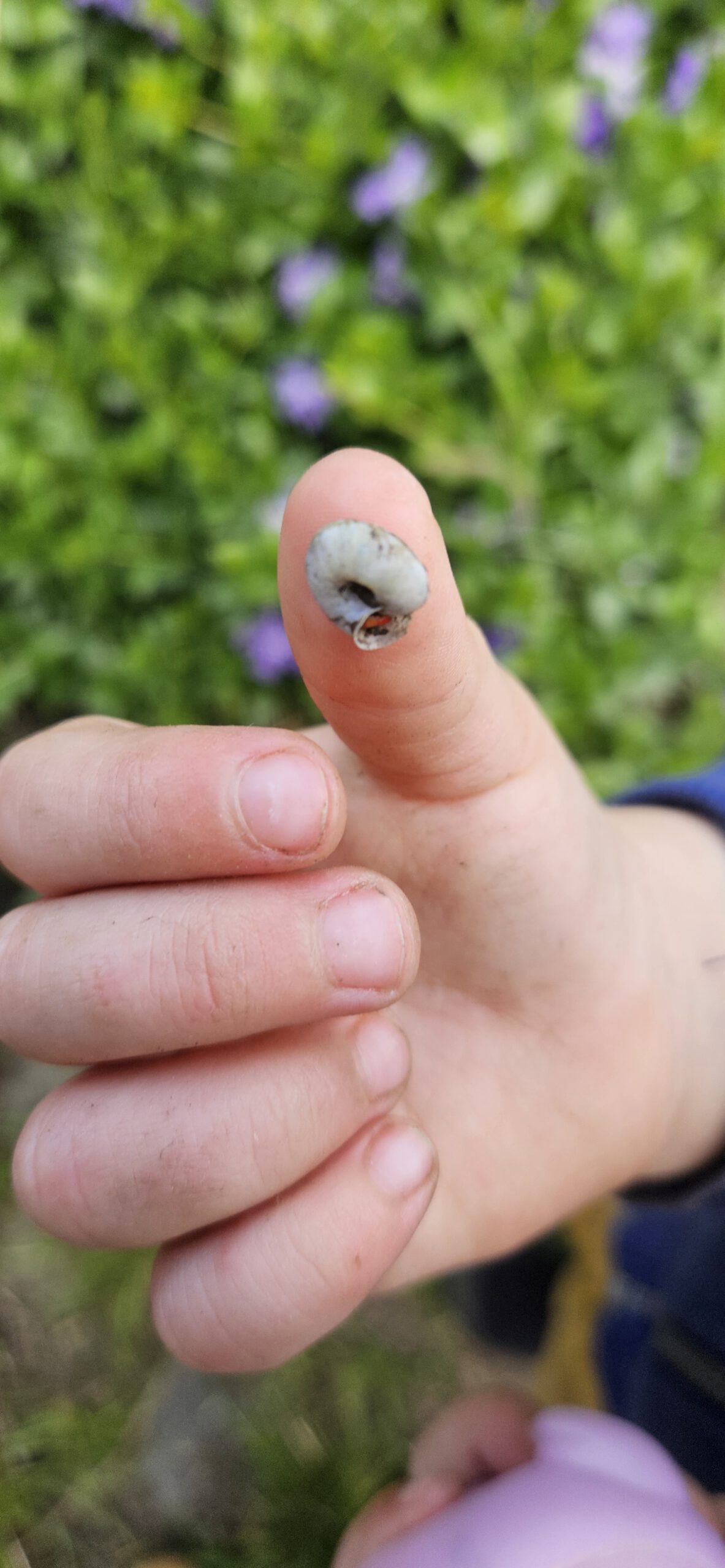 Kind entdeckt eine Raupe in der Natur