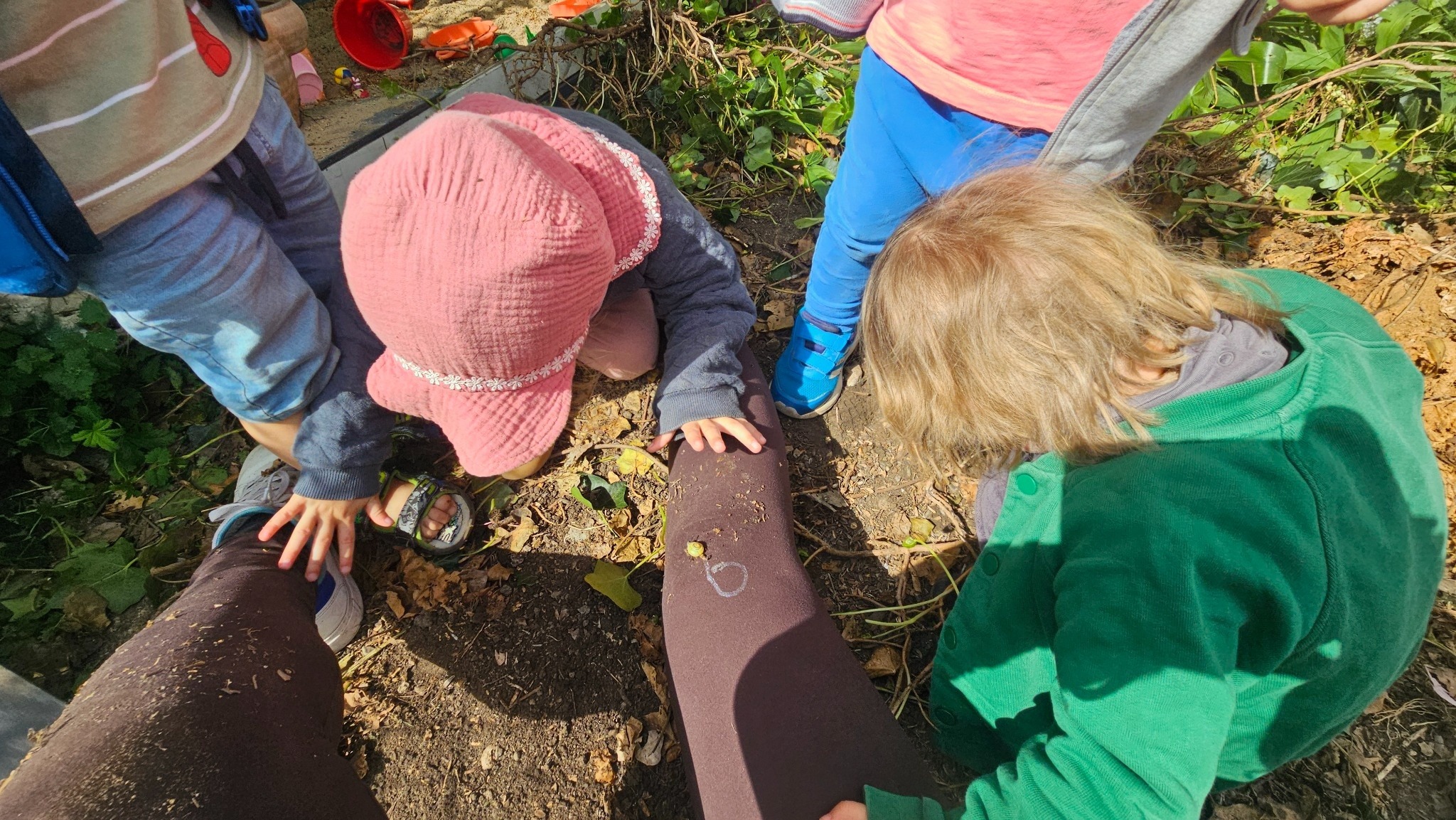 Kinder entdecken gemeinsam im Garten
