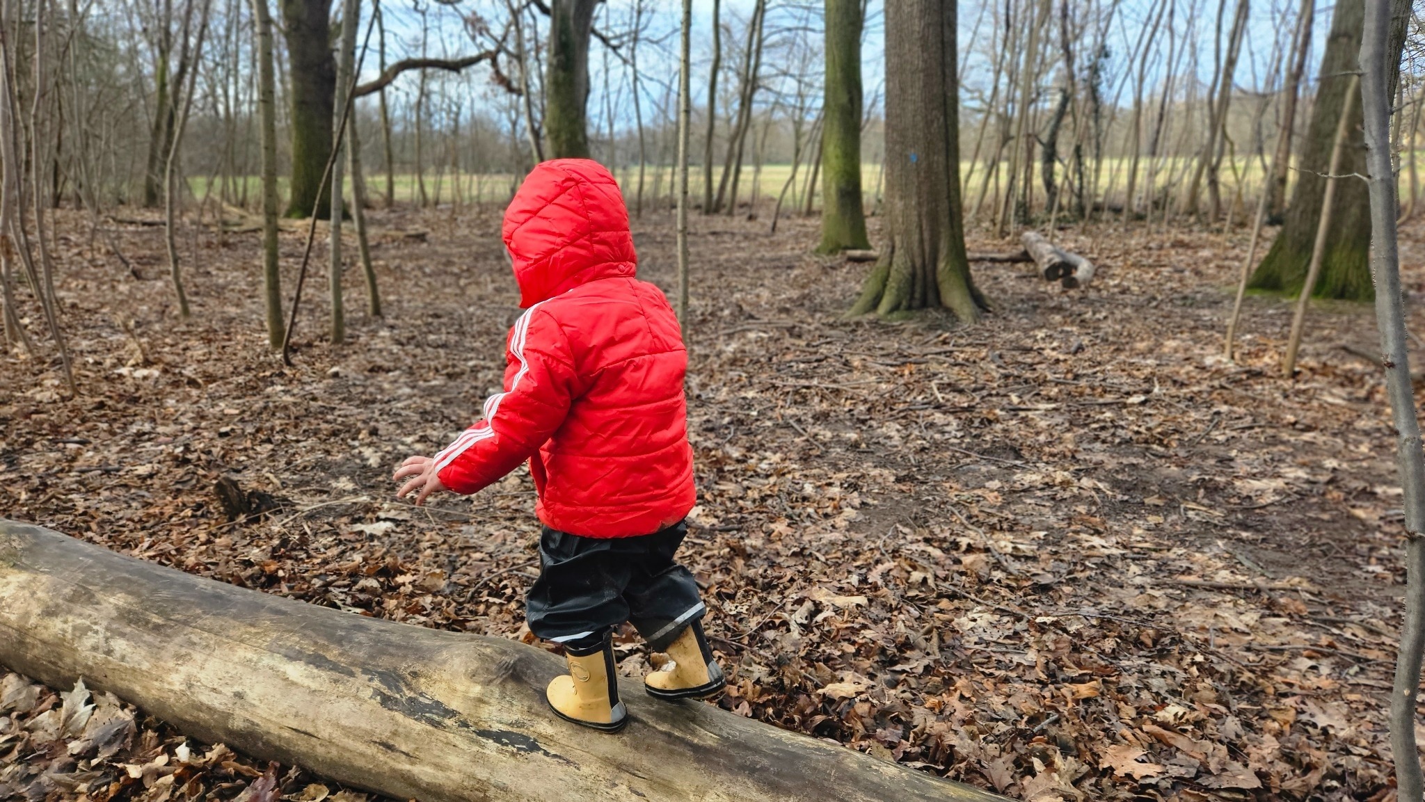 Kind balanciert auf Baumstamm im Wald